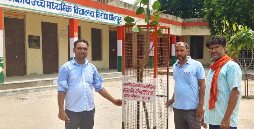 Bargad Man Teacher Narendra Yadav