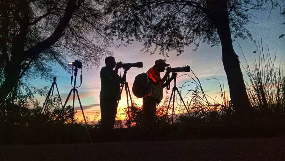 keoladeo national park